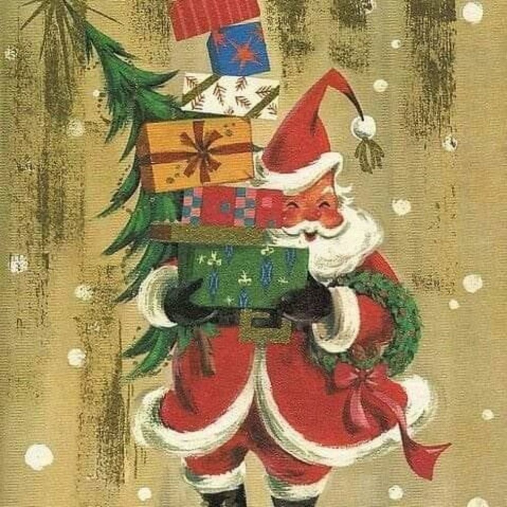 Meet your Posher, Molly